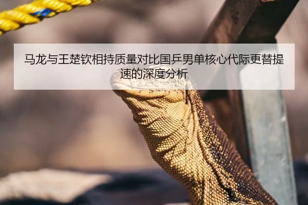 马龙与王楚钦相持质量对比国乒男单核心代际更替提速的深度分析